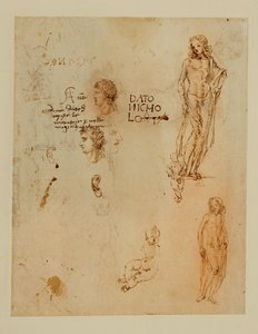 Trzy profile, uszy, dwóch Apollosów ... autorstwa Francesco di Simone (attr. to)