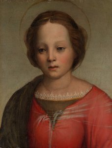 Głowa Madonny, ca. 1509.