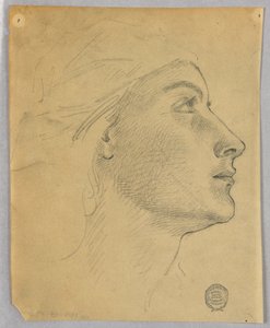 Głowa kobiety autorstwa Francis Augustus Lathrop