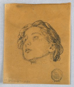 Szkic kobiecej głowy autorstwa Francis Augustus Lathrop