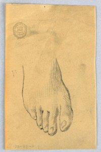 Studium prawej stopy autorstwa Francis Augustus Lathrop