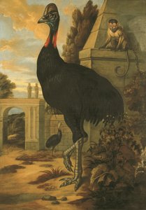 Kazuar