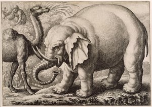Słoń i wielbłąd, ryty Wenceslaus Hollar (1607-77) 1663 autorstwa Francis Barlow