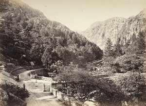  autorstwa Francis Bedford