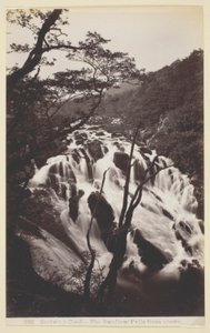 Bettw-s-y Coed, Jaskółka spada z góry autorstwa Francis Bedford
