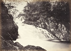  autorstwa Francis Bedford