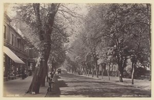 Cheltenham, Promenada, 186094. autorstwa Francis Bedford