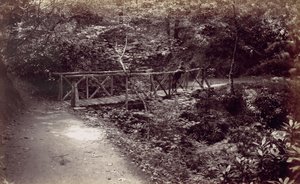 Zatoka Colwyn. Rustykalny most w lesie, lata 70. XIX wieku. autorstwa Francis Bedford