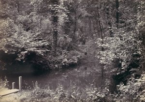 Zatoka Colwyn. Basen w lesie, lata 70. XIX wieku. autorstwa Francis Bedford