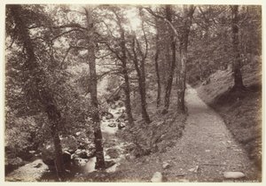 Dolgelley, Widok w Torrent Walk autorstwa Francis Bedford