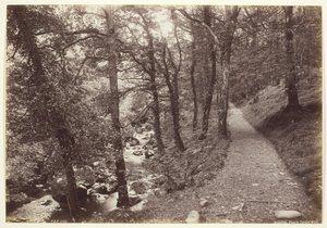 Dolgelley, Widok w Torrent Walk, 186094.
