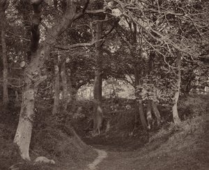 Glen Kenilworth, ok. 1868 (zdjęcie) autorstwa Francis Bedford
