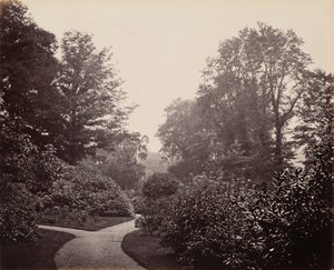 Ścieżka w Alexandra Park, ok. 1863 (zdjęcie) autorstwa Francis Bedford