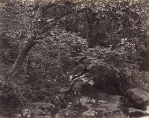Glen w Lynmouth autorstwa Francis Bedford, Francis Frith