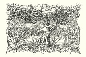 Wesoła Anglia: Robin Goodfellow (litografia) autorstwa Francis Donkin Bedford
