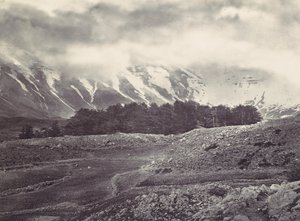 Daleki widok cedrów Libanu, ca. 1857. autorstwa Francis Frith
