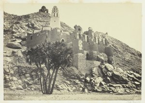 Doum Palm i zrujnowany meczet, Philæ autorstwa Francis Frith