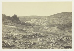 Widok na Hebron autorstwa Francis Frith