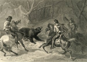 „Rdzenni Kalifornijczycy Lassoing niedźwiedzia”, 1874.