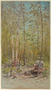 Brzozy autorstwa Francis Hopkinson Smith