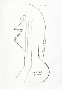 Poemes et Dessins de la Fille nee sans Mere, nr 23, opublikowane przez Imprimeries Reunies, Lozanna autorstwa Francis Picabia