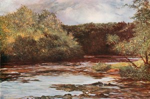 Rzeka Ayr w Failford autorstwa Francis S. Walker