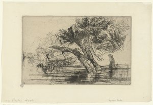 Hak Pentona autorstwa Francis Seymour Haden (Sir)