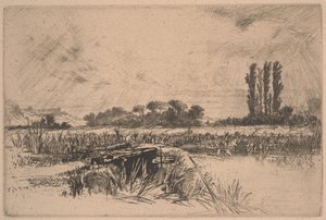Łąka Wodna (trawienie i sucha igła) autorstwa Francis Seymour Haden