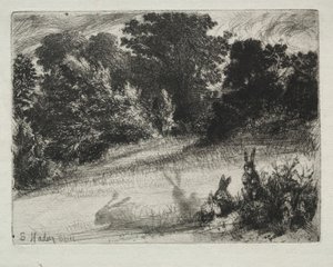 grzebień na dole autorstwa Francis Seymour Haden