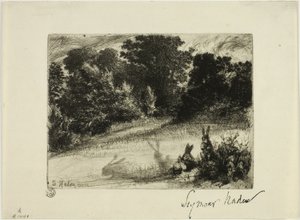 grzebień na dole autorstwa Francis Seymour Haden