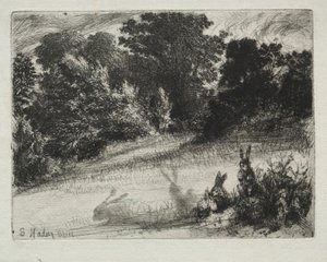 Grzebień na dole. autorstwa Francis Seymour Haden