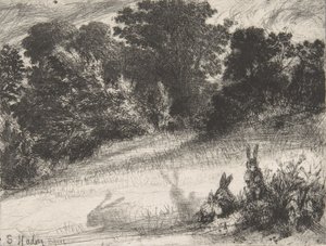 Grzebień dolny, 1860., 1860. autorstwa Francis Seymour Haden