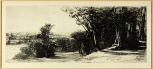 Wczesny poranek, Richmond Park autorstwa Francis Seymour Haden