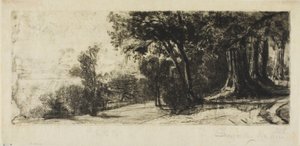 Wczesny poranek, Richmond Park autorstwa Francis Seymour Haden