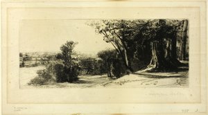 Wczesny poranek, Richmond Park autorstwa Francis Seymour Haden