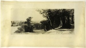 Wczesny poranek, Richmond Park autorstwa Francis Seymour Haden
