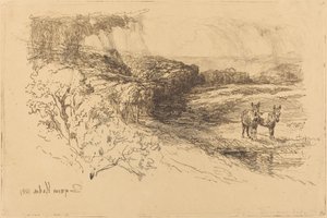 Encombe Woods (nr 1) autorstwa Francis Seymour Haden