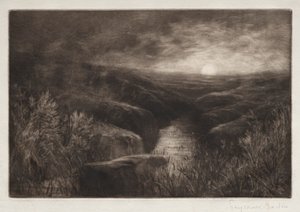 Nawiedzenie komara. autorstwa Francis Seymour Haden