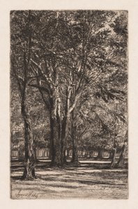 Kensington Gardens, nr 2 (większa płyta) autorstwa Francis Seymour Haden