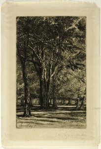 Kensington Gardens, nr II (duża płyta) autorstwa Francis Seymour Haden