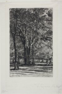 Kensington Gardens, nr II (duża płyta) autorstwa Francis Seymour Haden