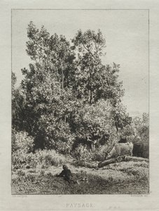 Krajobraz autorstwa Francis Seymour Haden