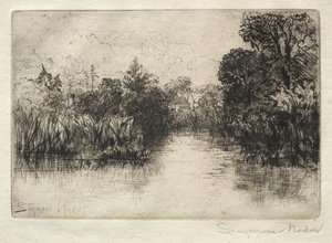 Staw Shere Mill (Małe Studium) autorstwa Francis Seymour Haden