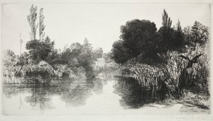 Shere Mill Pond, nr 11 (Duży Talerz) autorstwa Francis Seymour Haden