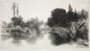 Shere Mill Pond, nr 11 The Large Plate, 1860 i późniejsze.