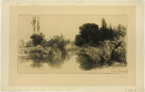 Shere Mill Pond, nr II (duża płyta) autorstwa Francis Seymour Haden