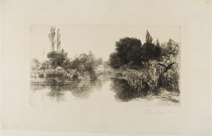 Shere Mill Pond, nr II (duża płyta) autorstwa Francis Seymour Haden