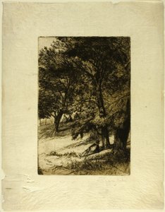 Pod dachem... autorstwa Francis Seymour Haden