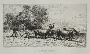 Drużyna Wołów autorstwa Francis Seymour Haden