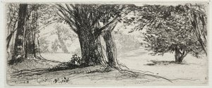 Święte Pole. autorstwa Francis Seymour Haden